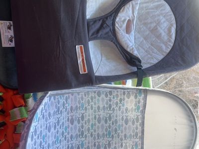 Baby Delight Bath/ BabY Swaye Bouncer