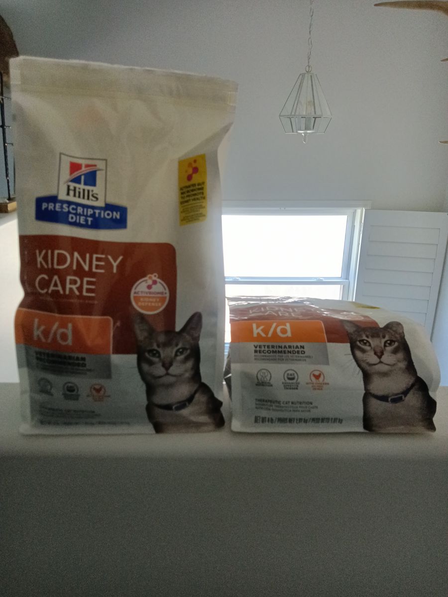 Cat Food