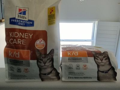 Cat Food