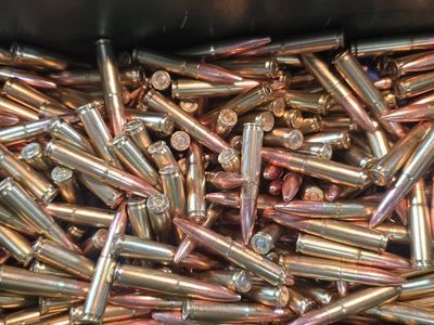300 Blackout 220 grain Subsonic