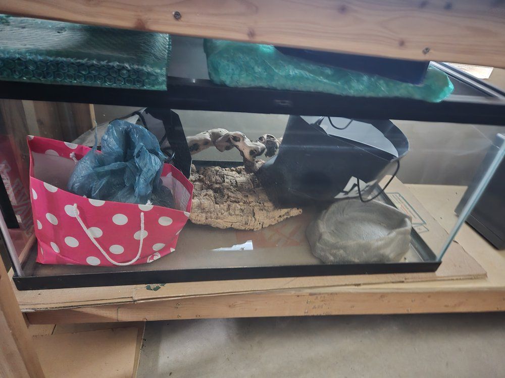 Exo Terra 20 Gallon Glass Terrarium Reptile Tank Enclosure