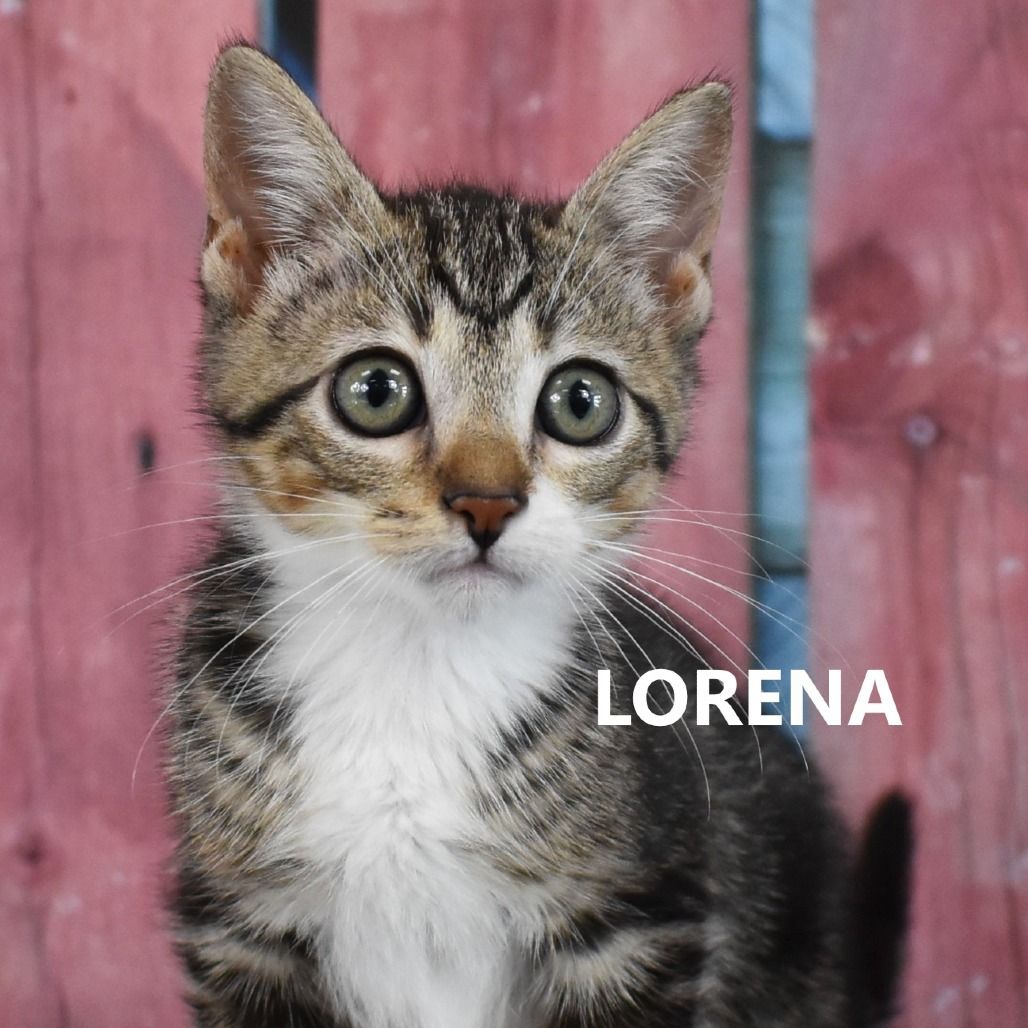 Hello my name is Lorena