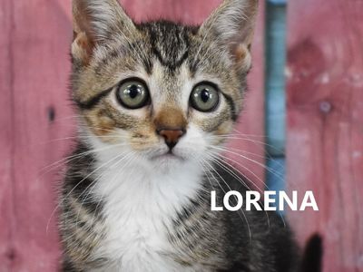Hello my name is Lorena