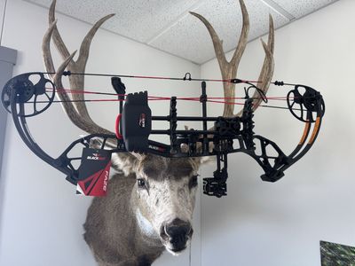 Blackout Faze 2 compound Bow.