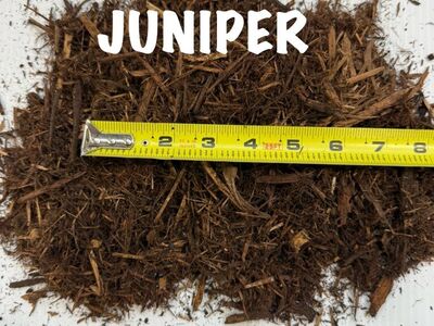 JUNIPER MULCH