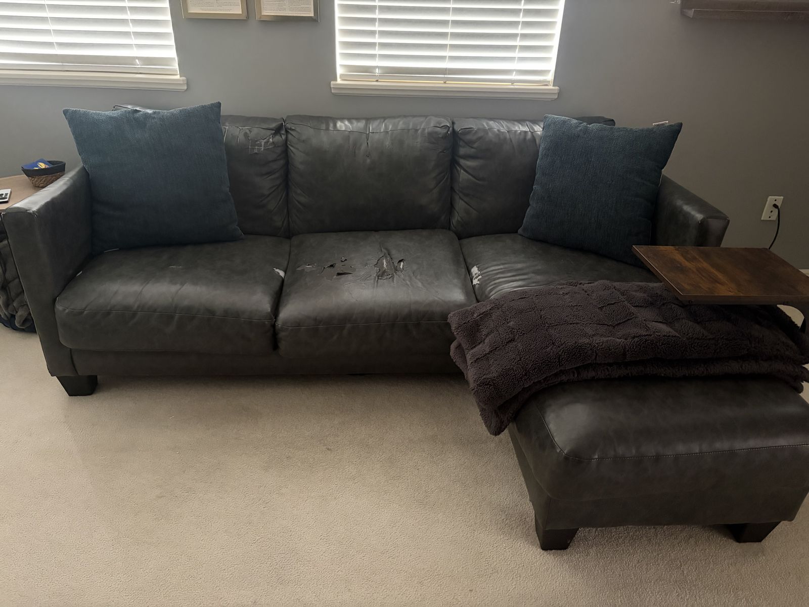 Sectional Couch