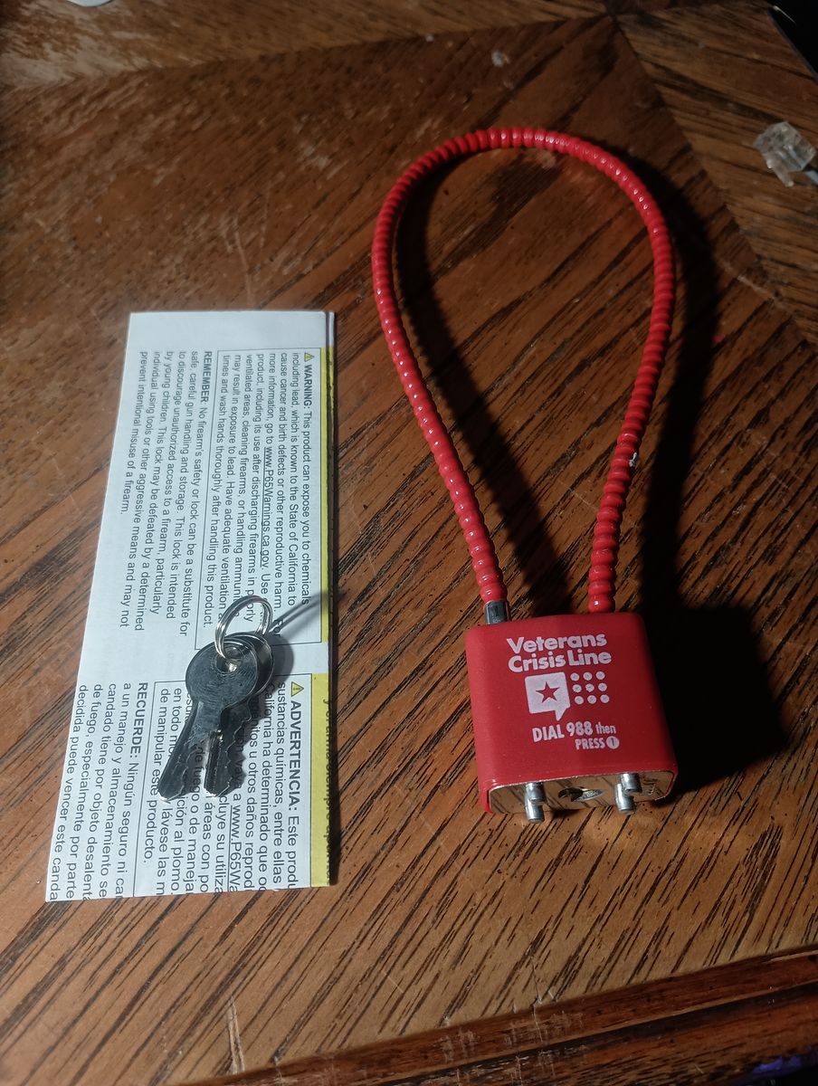 Cable Gun Lock