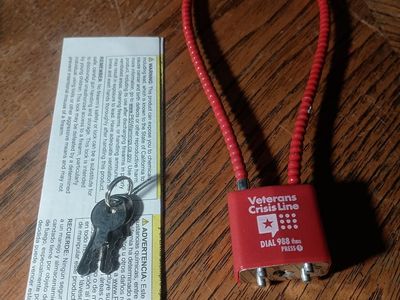 Cable Gun Lock