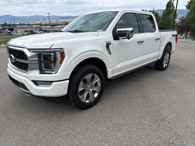 2021 Ford F-150 Platinum