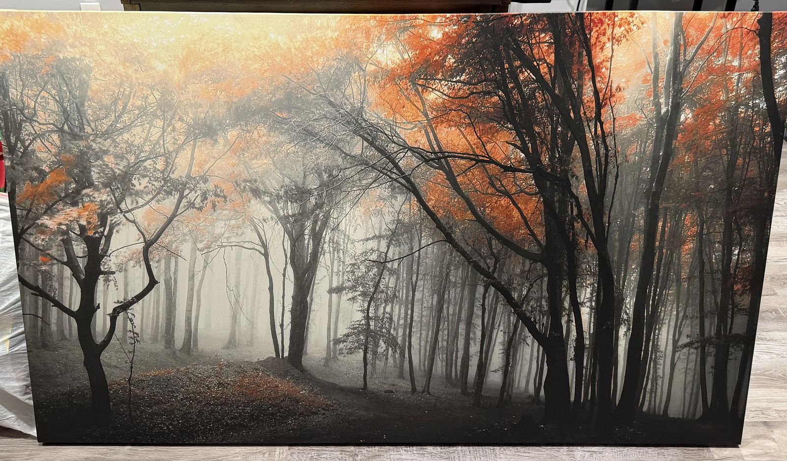 Canvas Art 60x36