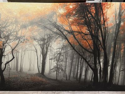 Canvas Art 60x36