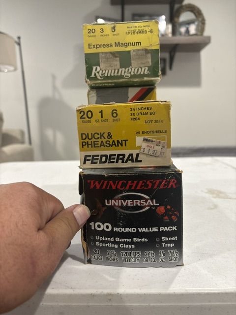 20 ga ammo