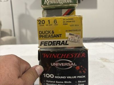 20 ga ammo