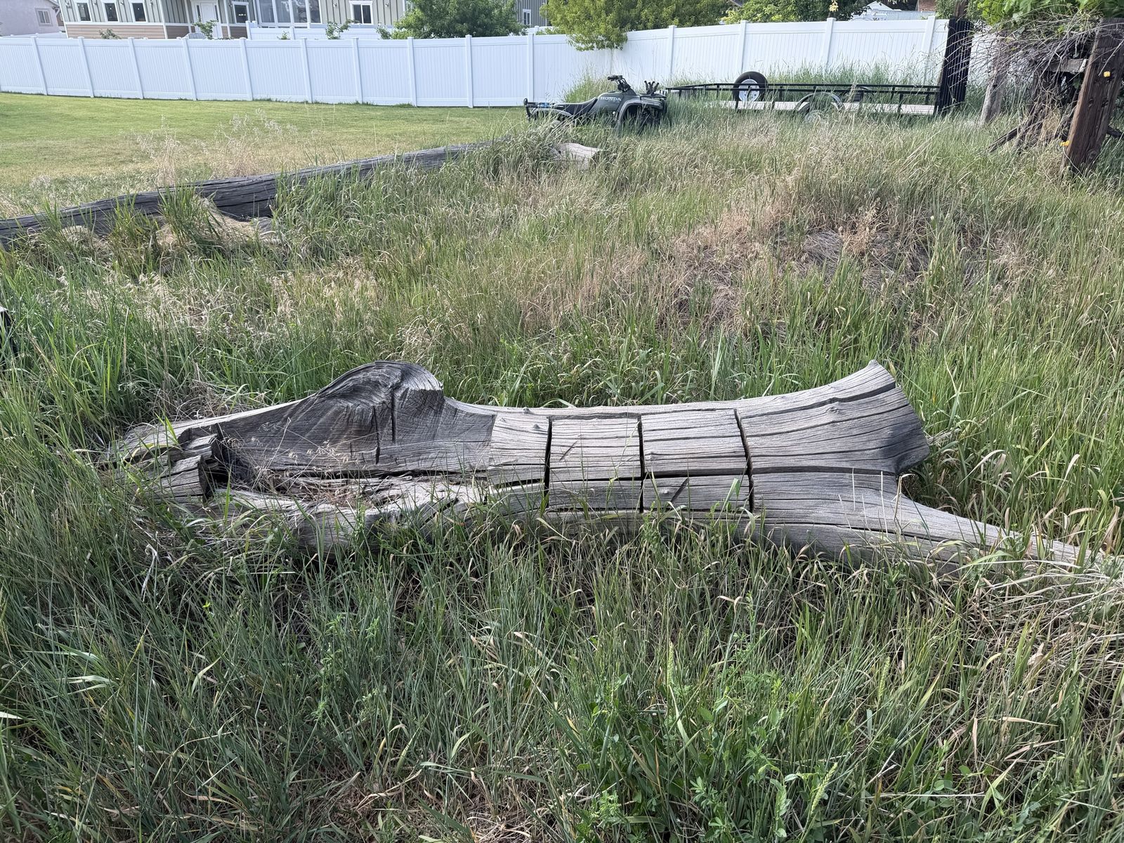 Main image 4