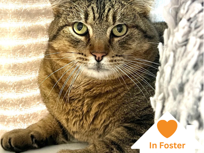 Hello my name is Donnie