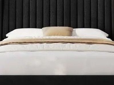 Brand new velvet queen size bed