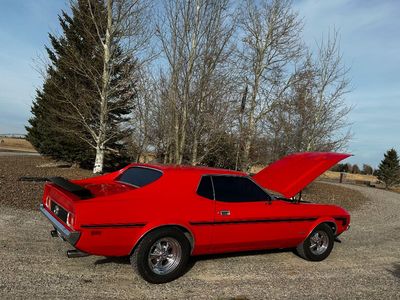 1971 Ford Mustang Base