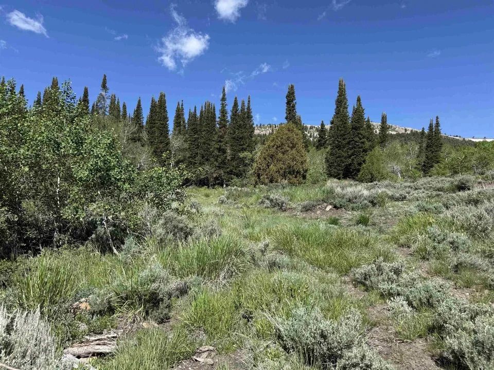 Main image 15