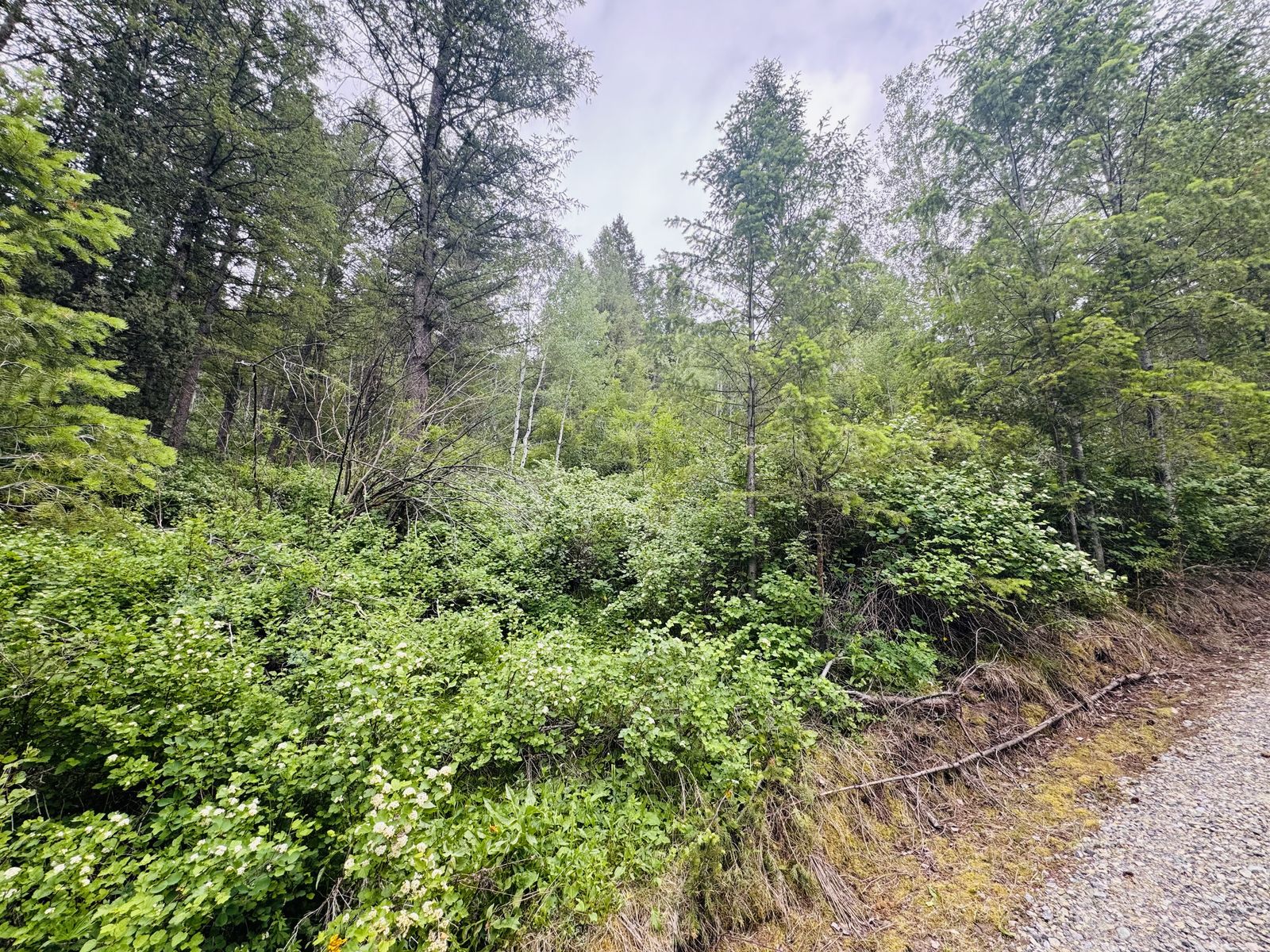 Main image 11