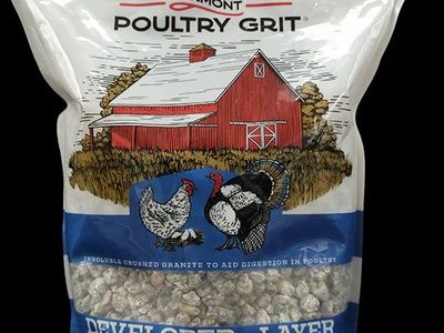 High Quality Grit for Poultry