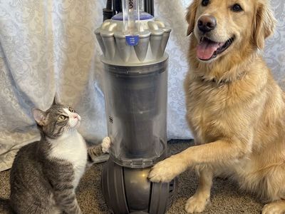 DYSON ANIMAL PRO STRONGEST SUCTION THEY MAKE
