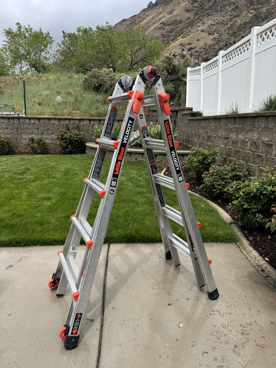Little Giant ladder