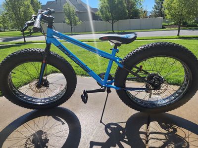 Mongoose Argus 20 in Fat Tire Bike