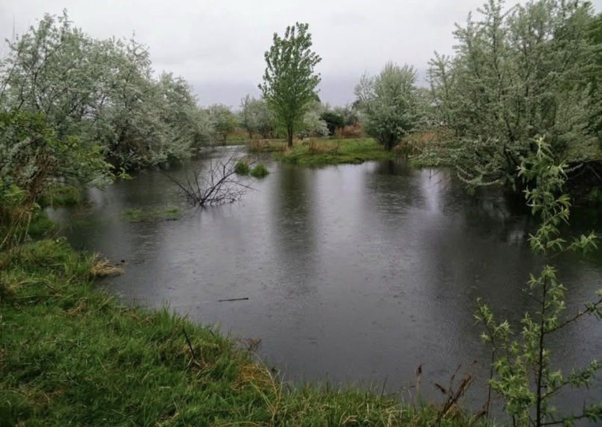 Main image 6