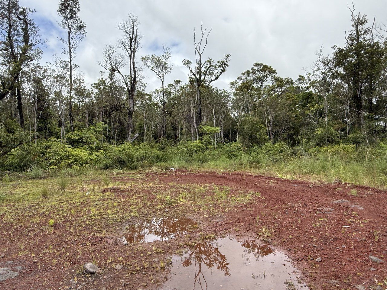 Main image 5