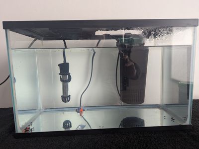 5 gallon fish tank with 2 glo fish