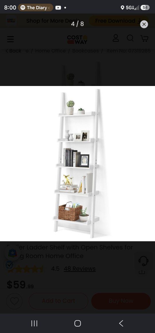 ladder shelf