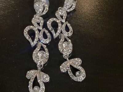 Elegant Silver Earrings