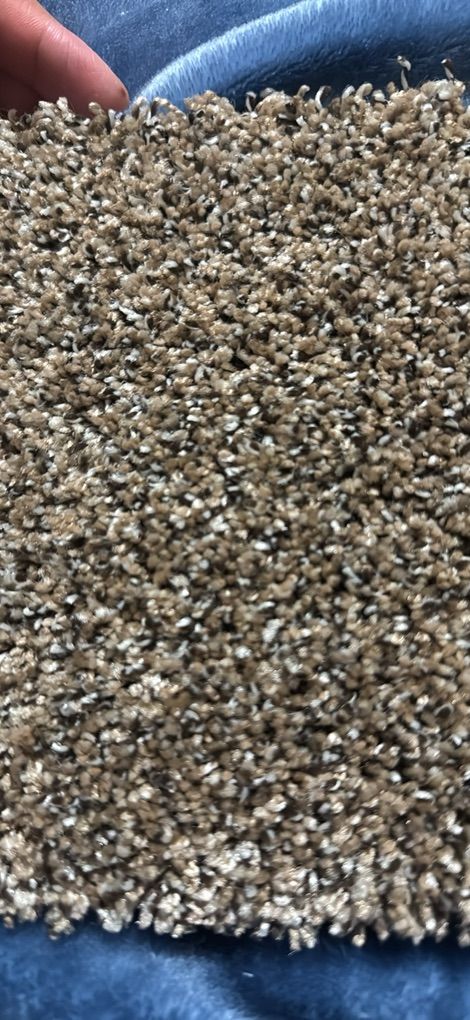 High Quality Carpet