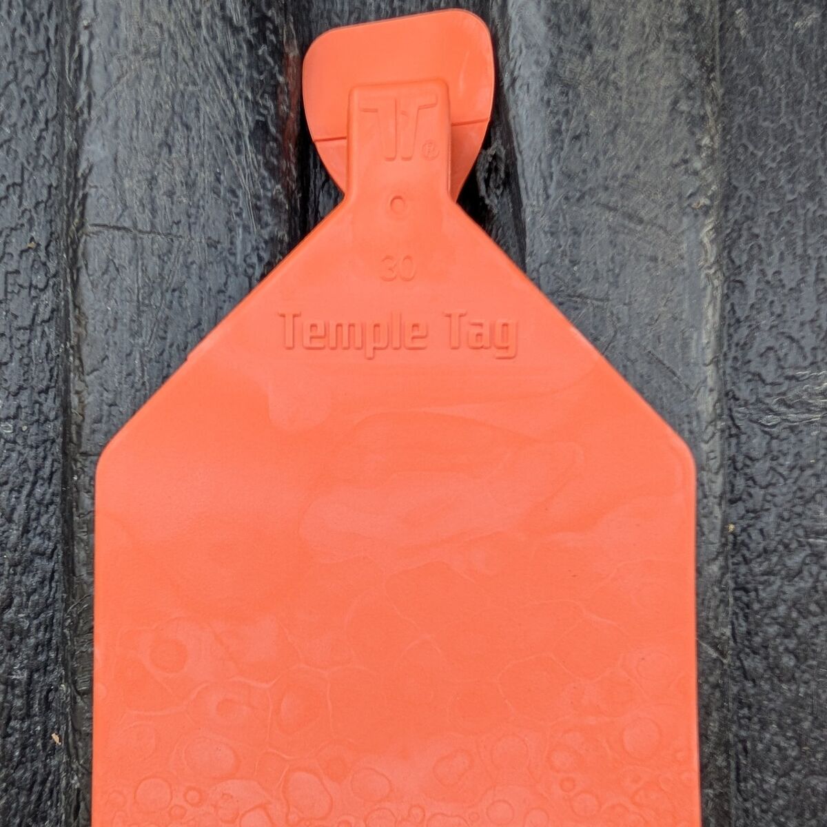 Case of Temple Tag One Piece Feeder Tag for Cattle