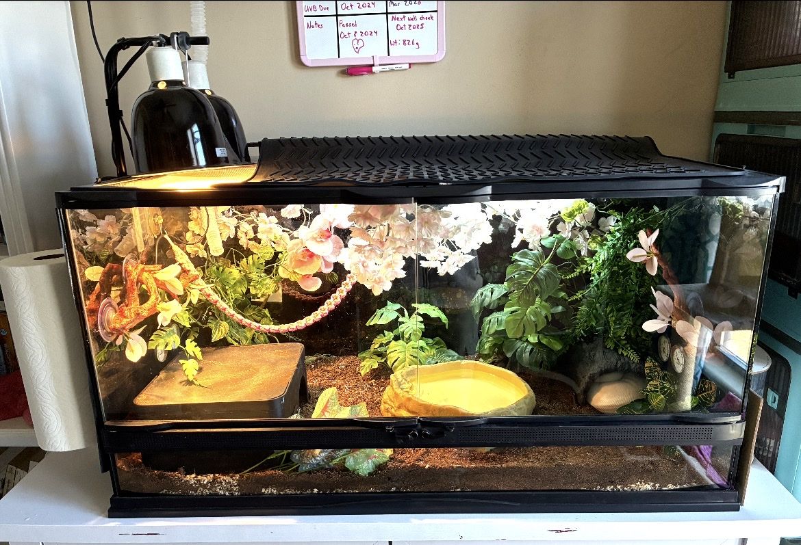 Zoo Med 40 Gallon Front Opening Reptile Terrarium Enclosure with Lighting & Accessories