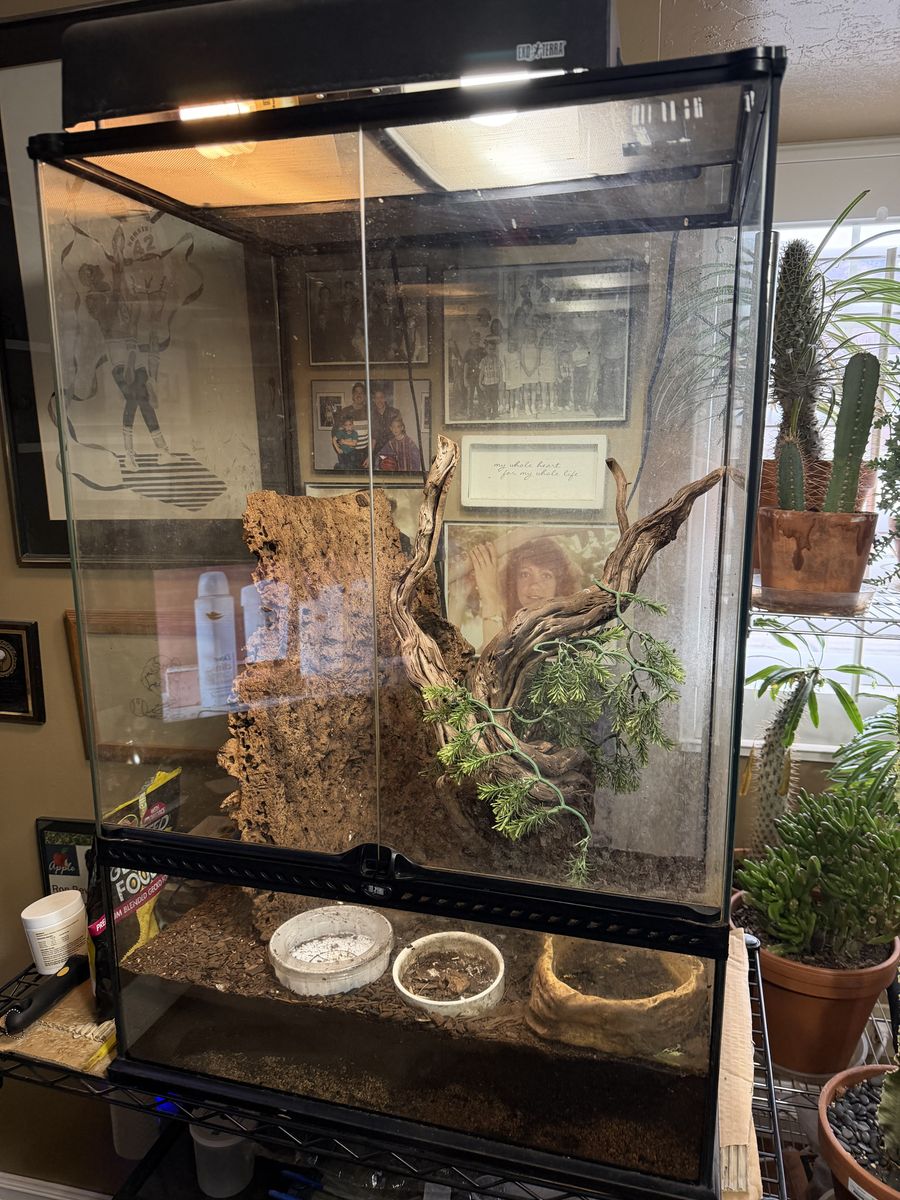 Large reptile enclosure