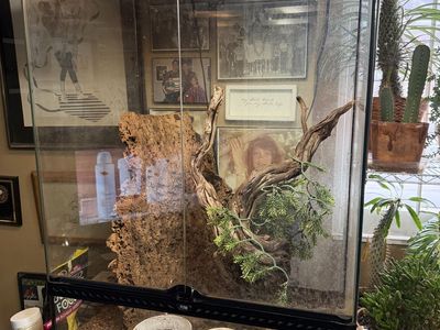 Large reptile enclosure