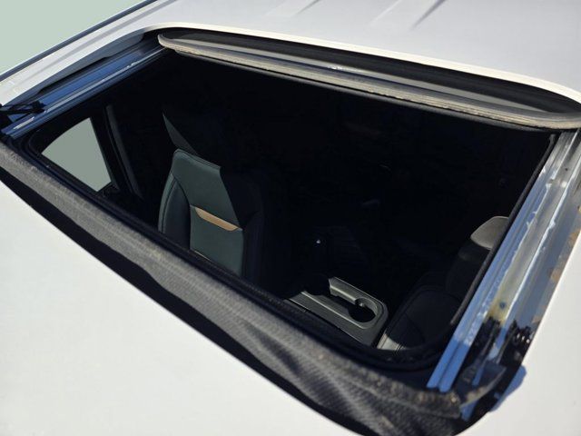 Main image 4