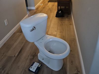 free toilet