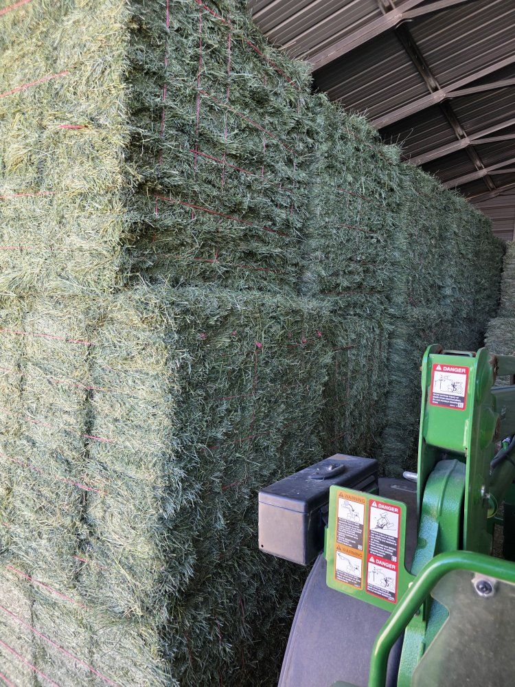 Grass Alfalfa Mix Hay Horse Hay 3 string bales Bundled Steam Baled