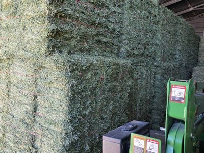 Grass Alfalfa Mix Hay Horse Hay 3 string bales Bundled Steam Baled