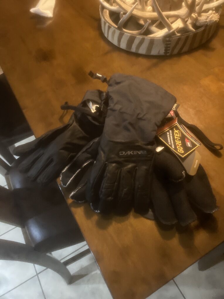 Ski Gloves