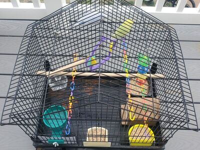 2 Parakeets With Cage