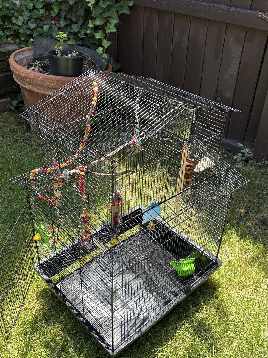 Bird Cage with Accessories - Large Black Metal Cage for Parrots Parakeets Conures Finches