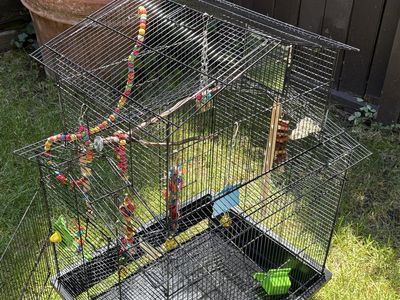 Bird Cage with Accessories - Large Black Metal Cage for Parrots Parakeets Conures Finches
