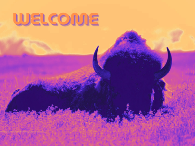 American Bison - Duo tone - Rug / Doormat