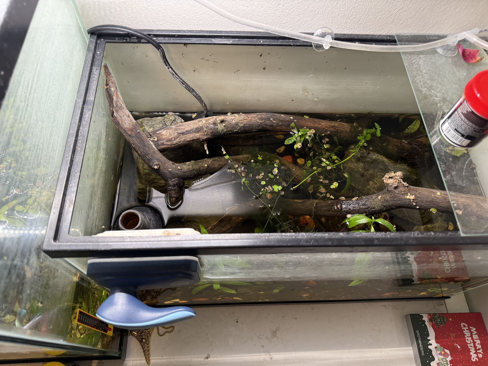Main image 4
