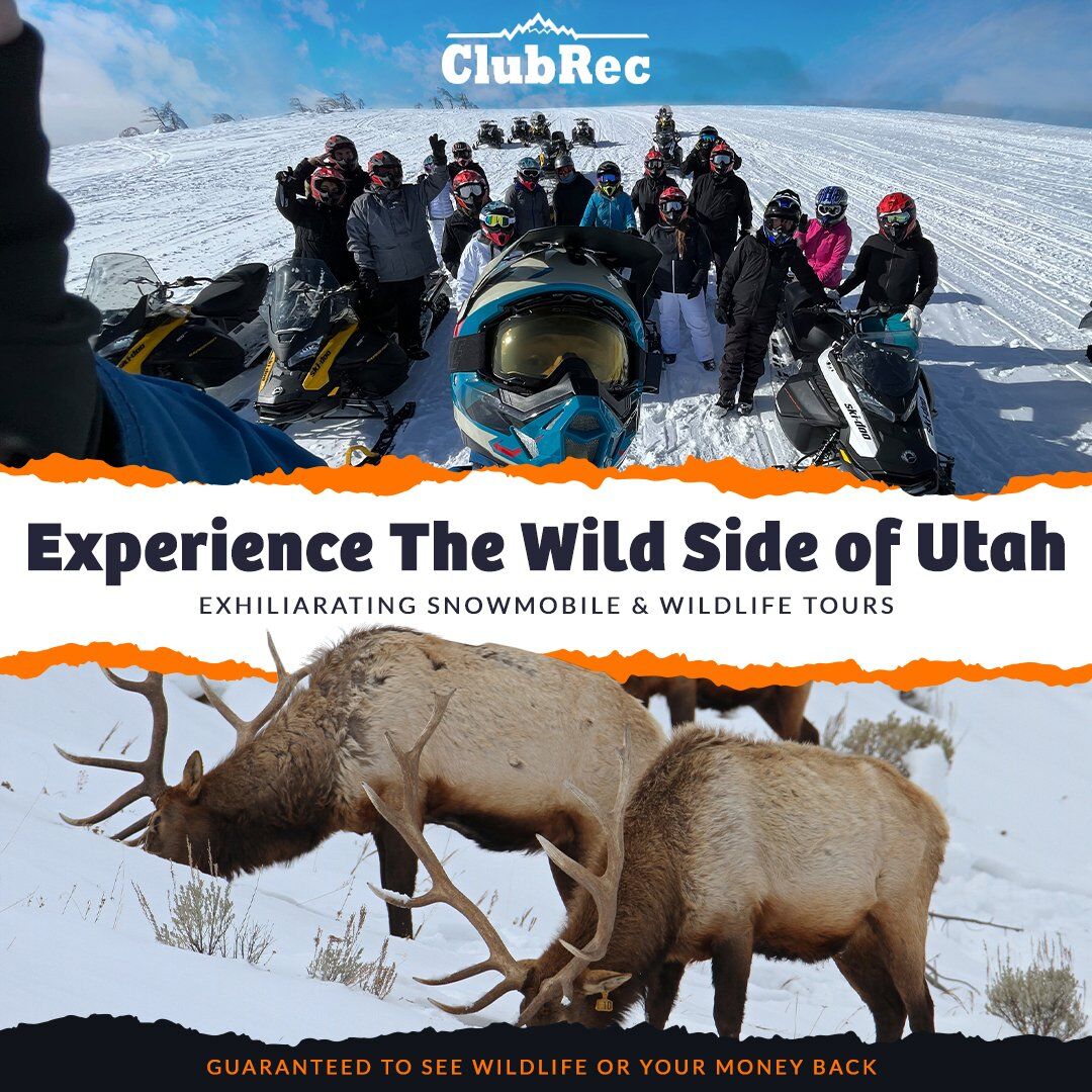 Snowmobile Tours & Rentals at Monte Cristo.