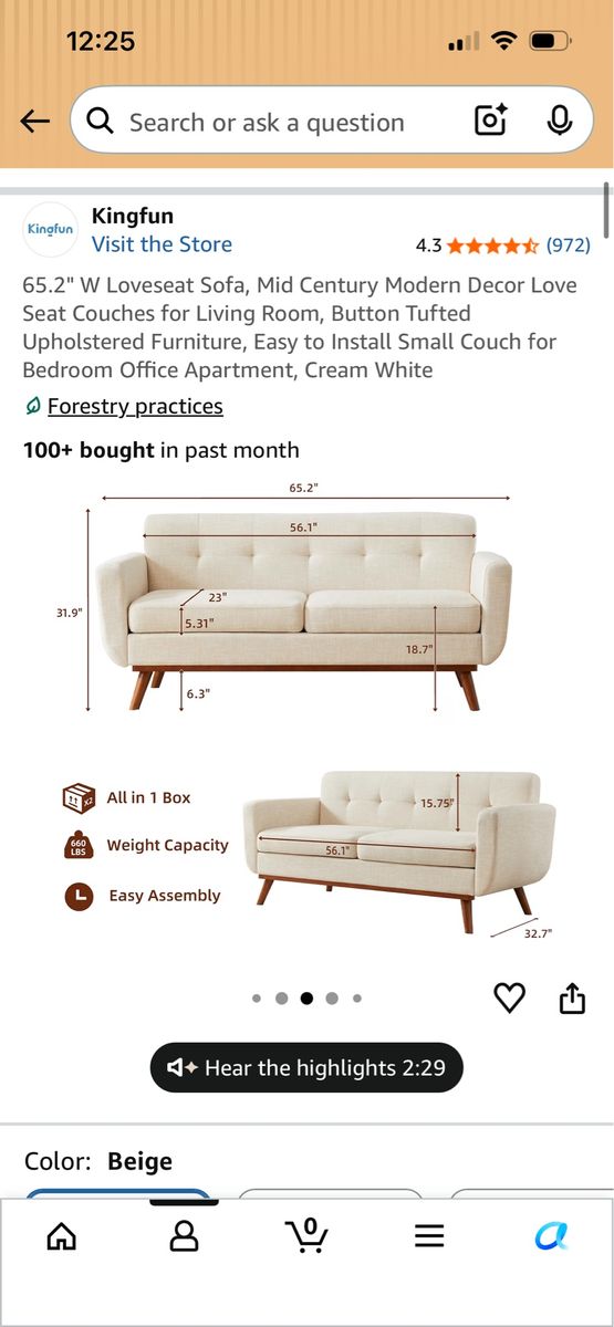Loveseat Sofa 