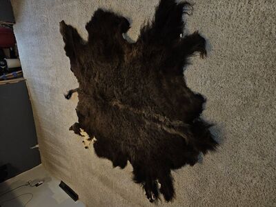 Buffalo Hide
